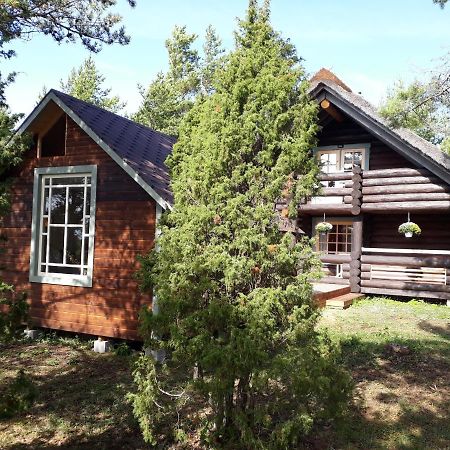 Koiguste Paehkli Seaside Cottage With Cozy Outdoor Patio מראה חיצוני תמונה